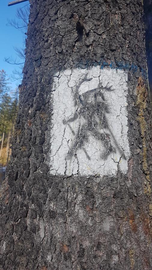 Skaly Spaly Przesieka Kültér fotó